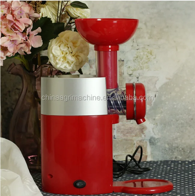 Mini Diy Fruit Automatic Ice Cream Machine Electric Soft Ice Cream