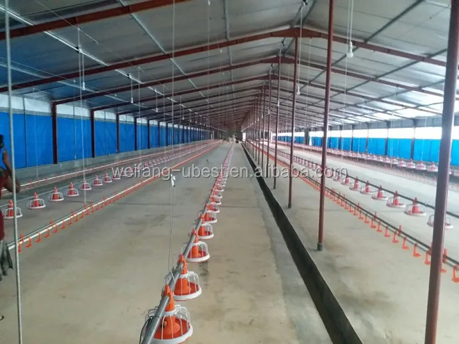 auto drinker for poultry