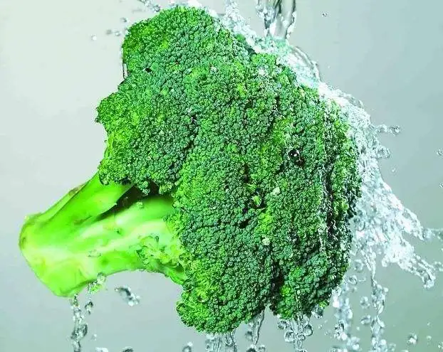 pure natural nutritional supplement broccoli sprout powder