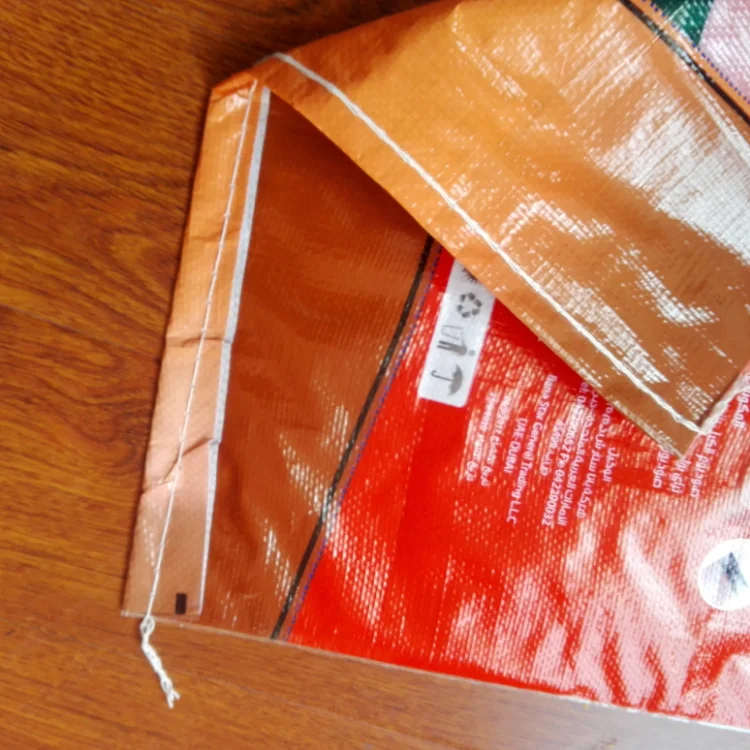 detergent bag 1 (5).png