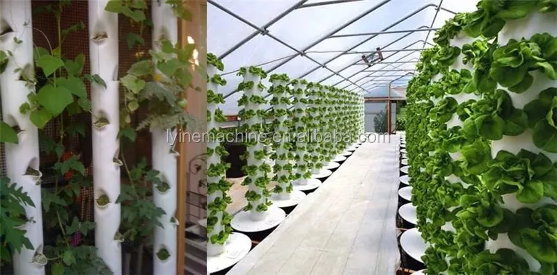 hydroponics1.jpg