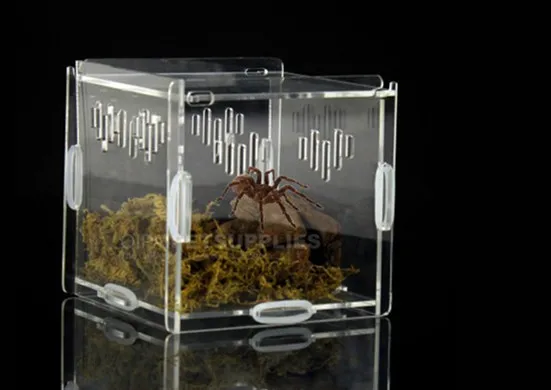 Clear Acrylic Window Bird Feeder With Strong All Weather Suction