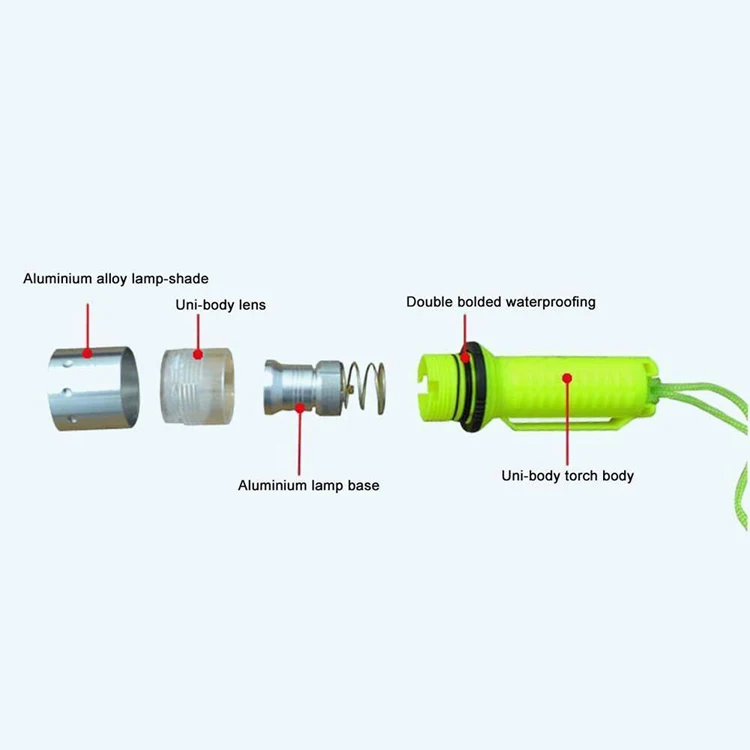 flash light diving.jpg