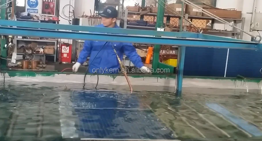 cold storage for onion