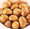 Hot Selling Frozen Peeled Roasted Chestnut Organic IQF Chestnut with lowest price