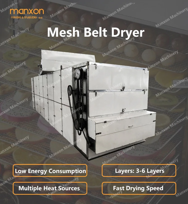 Belt Conveyor Mesh Belt Dryer