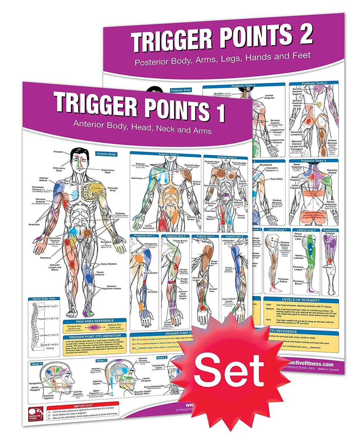 Buy Trigger Points I and II Laminated Chart/Posters in Cheap Price on