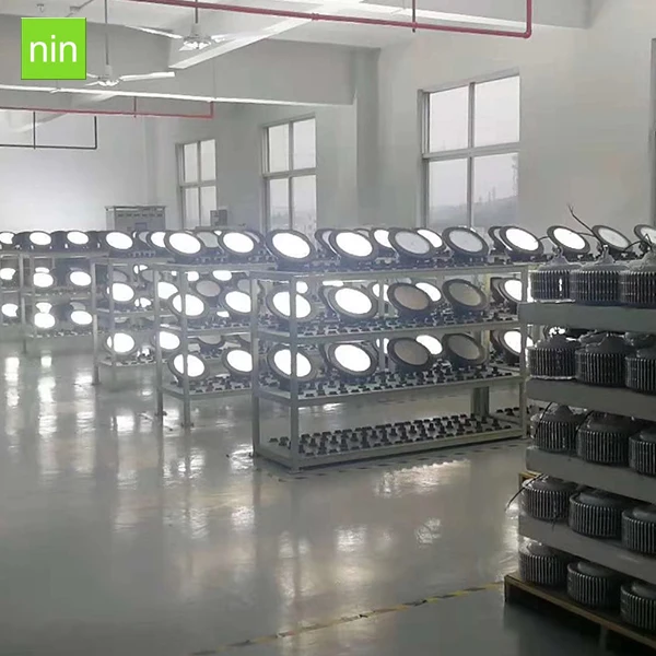 ninLED 20190229 (16).jpg