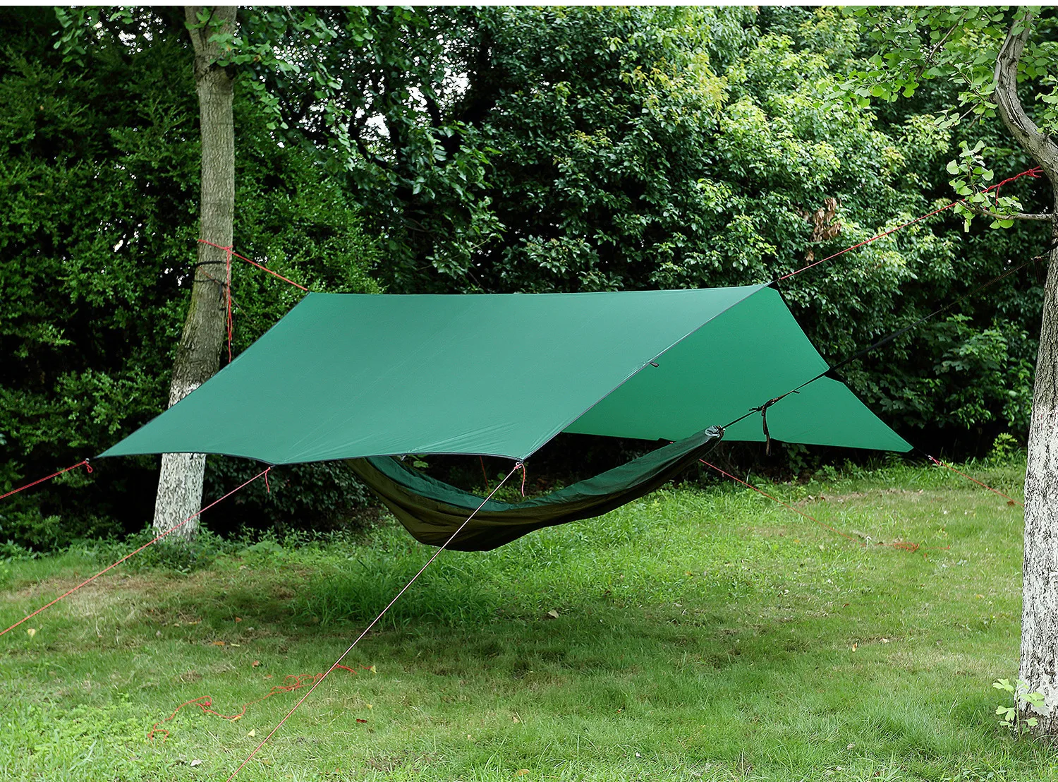 8894722454_2102329459