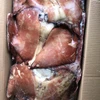 Frozen indian ocean black squid wing