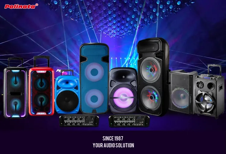 Polinata high power 15 inch subwoofer 350W Built-in DSP system portable speaker professional speaker box with Class D Amplifier - ANKUX.COM