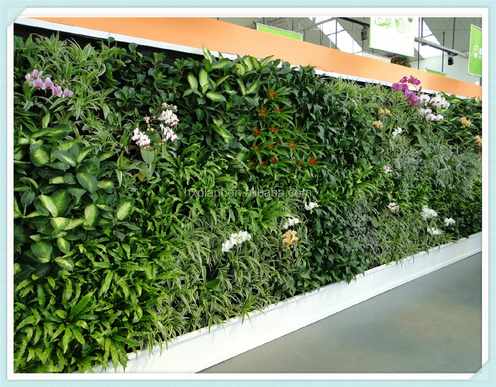 Artificiale decorativo muro vegetale, a buon mercato giardino ... Giardino verticale artificiale