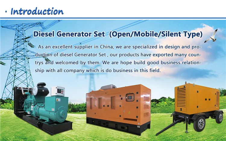 1.2 Diesel Genset