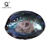 China Abalone Paua Shell Nail Art Shell Paper,Nature Shell Paper