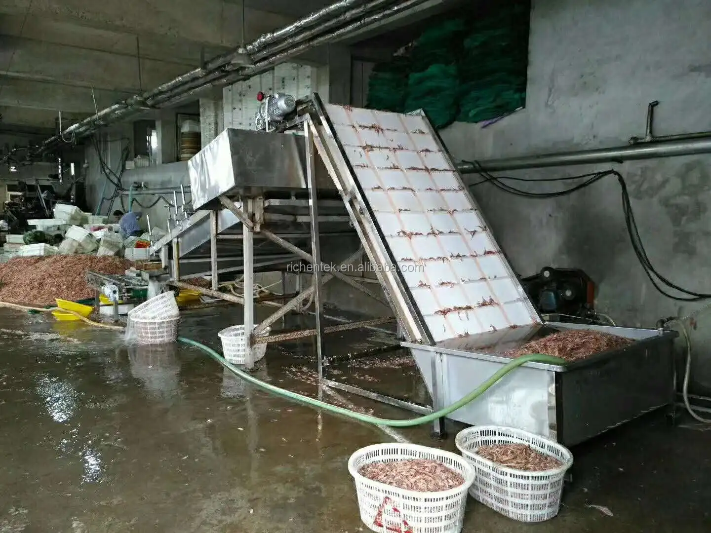 Automatic Shrimp Cleaner Grader Machine/prawn Washing Grading Machine/fresh Shrimp Size Roller Sorting Machine For 6 Grades