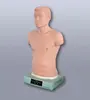 Clinical auscultation and palpation training model