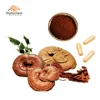 300mg or 350mg 100% Pure Ganoderma Lucidum Spores Powder Capsules for Wholesale