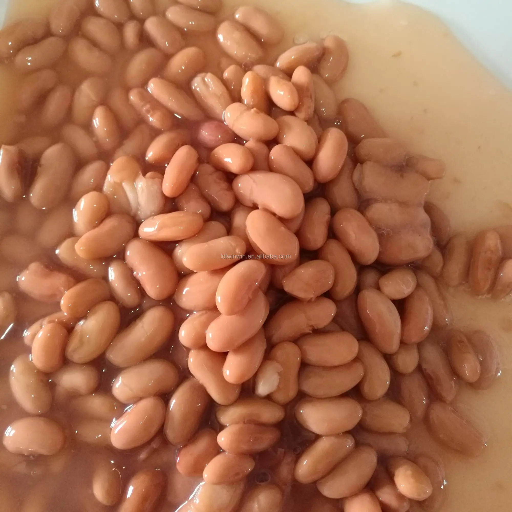 pinto beans.jpg