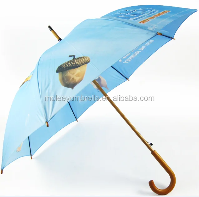 best rain umbrella