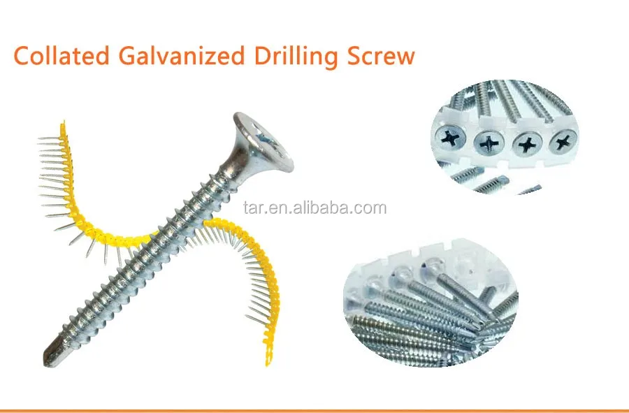 Drywall Collated Screw,Plastic Strip Collated Gypsum Board Screw