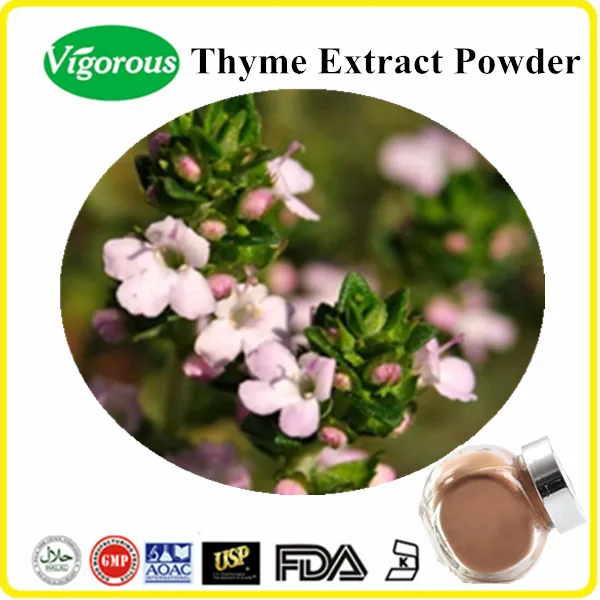Halal & Kosher Thyme Extract Powder Thymus Vulgaris Extract Buy