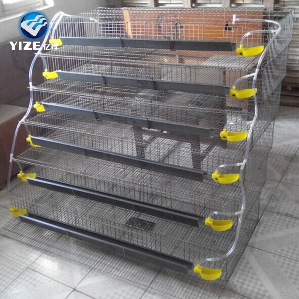Automatic Quail Farm Cage New Design Quail Layer Cage Feeder,Automatic