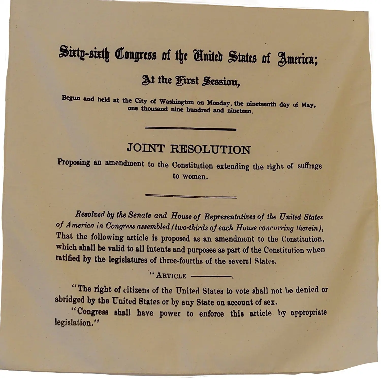 19th Amendment (Women's Right to Vote) Bandana/Scarf