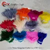 China HX Supplier Wholesale Dyed Rooster Saddle Feathers Fashion DIY Coque Feathers