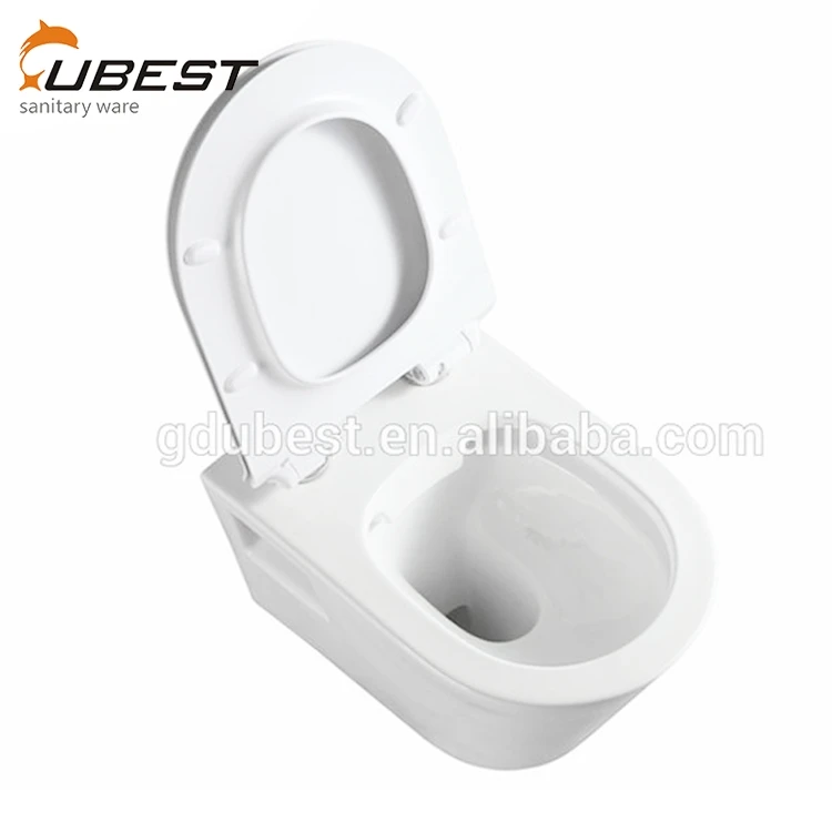 Concealed Tank Water Ridge One Piece Dual Flush Ceramic Washdown Toilet