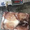 Frozen Giant Squid Wing/Ear 300-700G