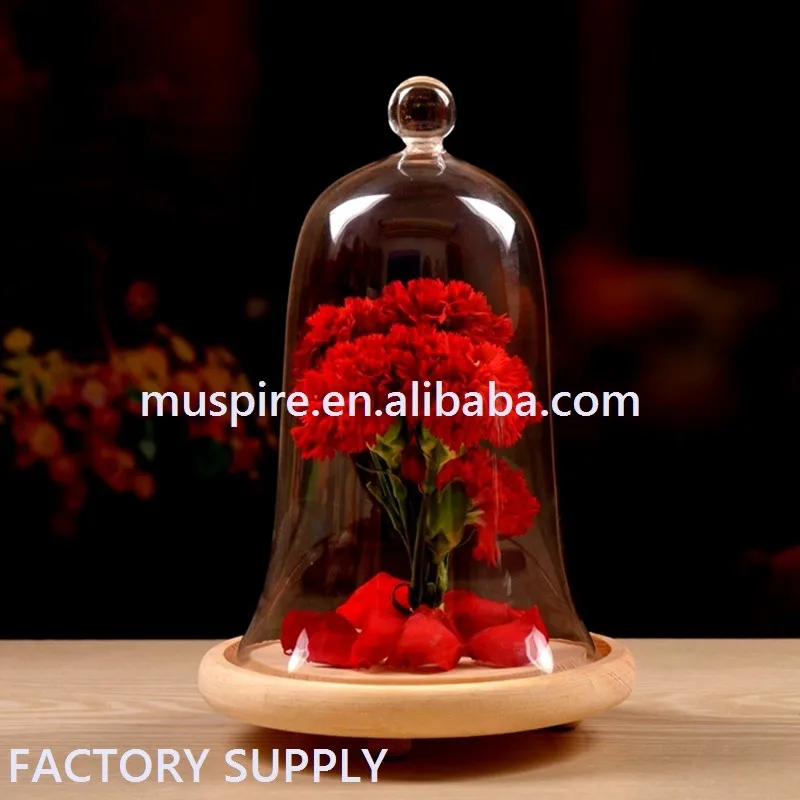 Creative clock Glass Dome (1)
