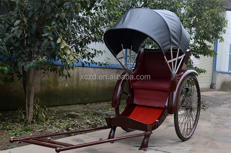 Rickshaws Carriage Horse / Horse Carriage Buy Personality Hand Pull