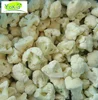 IQF Vegetables Cauliflower Cut Manufacture With Indian Best Price