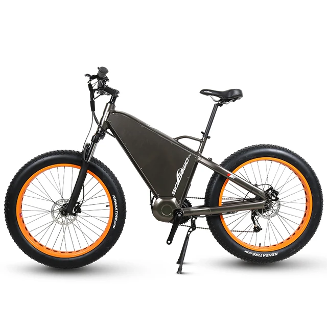 electric bike 1000w 48v