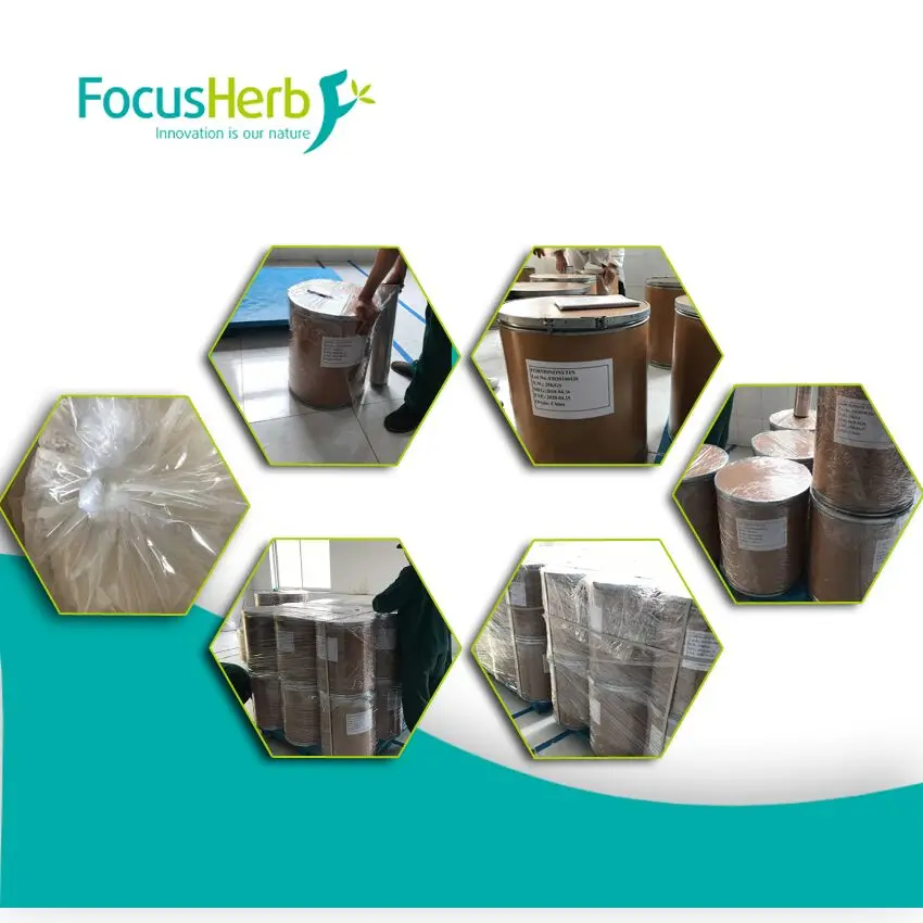 Rabdosia Rubescens Aqueous Extract 