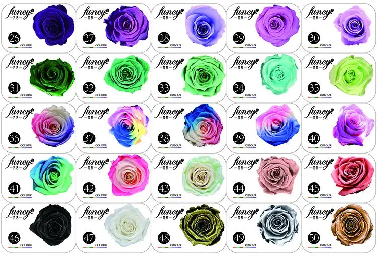 home decoration pieces