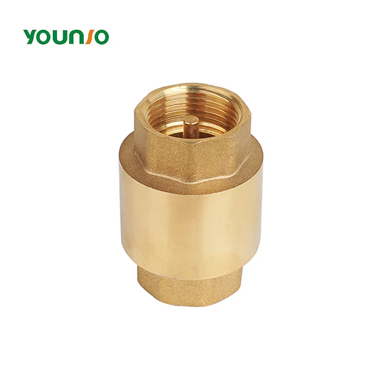 1/2 Inch Brass Check Valve,Plastic Check Valve With All Brass,Vertical