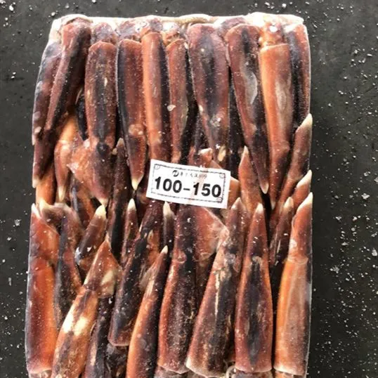 squid-illex squid  (6).jpg