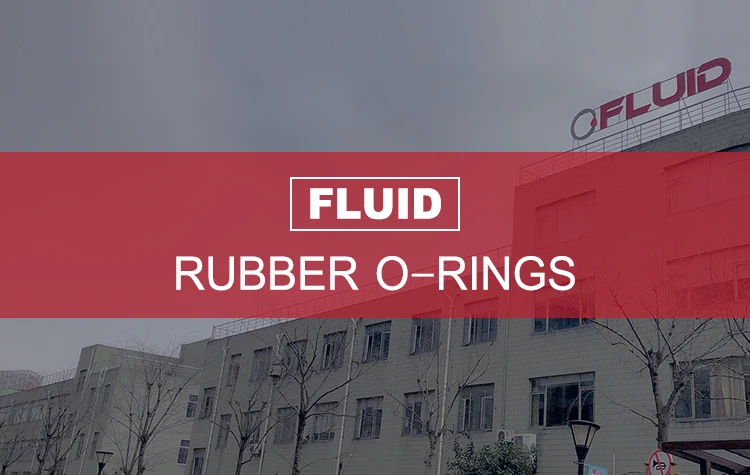 PTFE PFA FEP Encapsulated O-ring Hollow FPM FKM VMQ Silicone rubber oring inner coated O ring