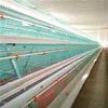 20 Years supply poultry farm chicken battery cages for layers for farms in ghana