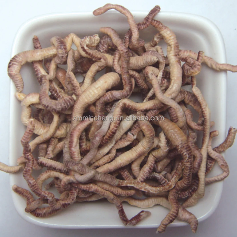 Support Customized High-nutrient And High-protein Freeze Dried Earthworm  For Fish - Buy Freeze Dried Earthworm,Dried Earthworms,Animal Food Product  on 
