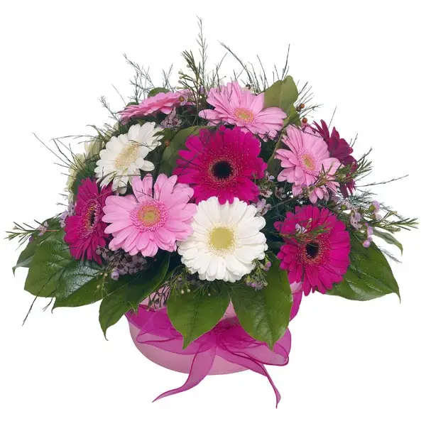 Espuma Floral Seca Para Arreglos De Flores Artificiales,Espuma De Flores  Secas,Espuma Floral Artificial - Buy Espuma De Flores Secas,Espuma De Flores  Artificiales,Espuma De Flores Secas Para Arreglos De Flores Artificiales  Product on