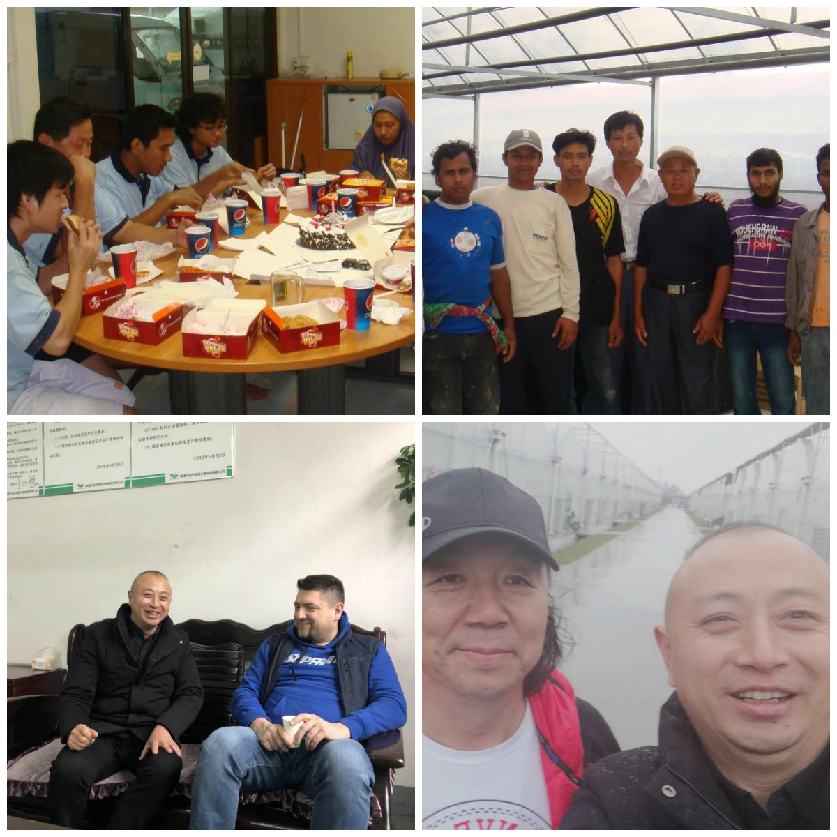 solar glass greenhouse