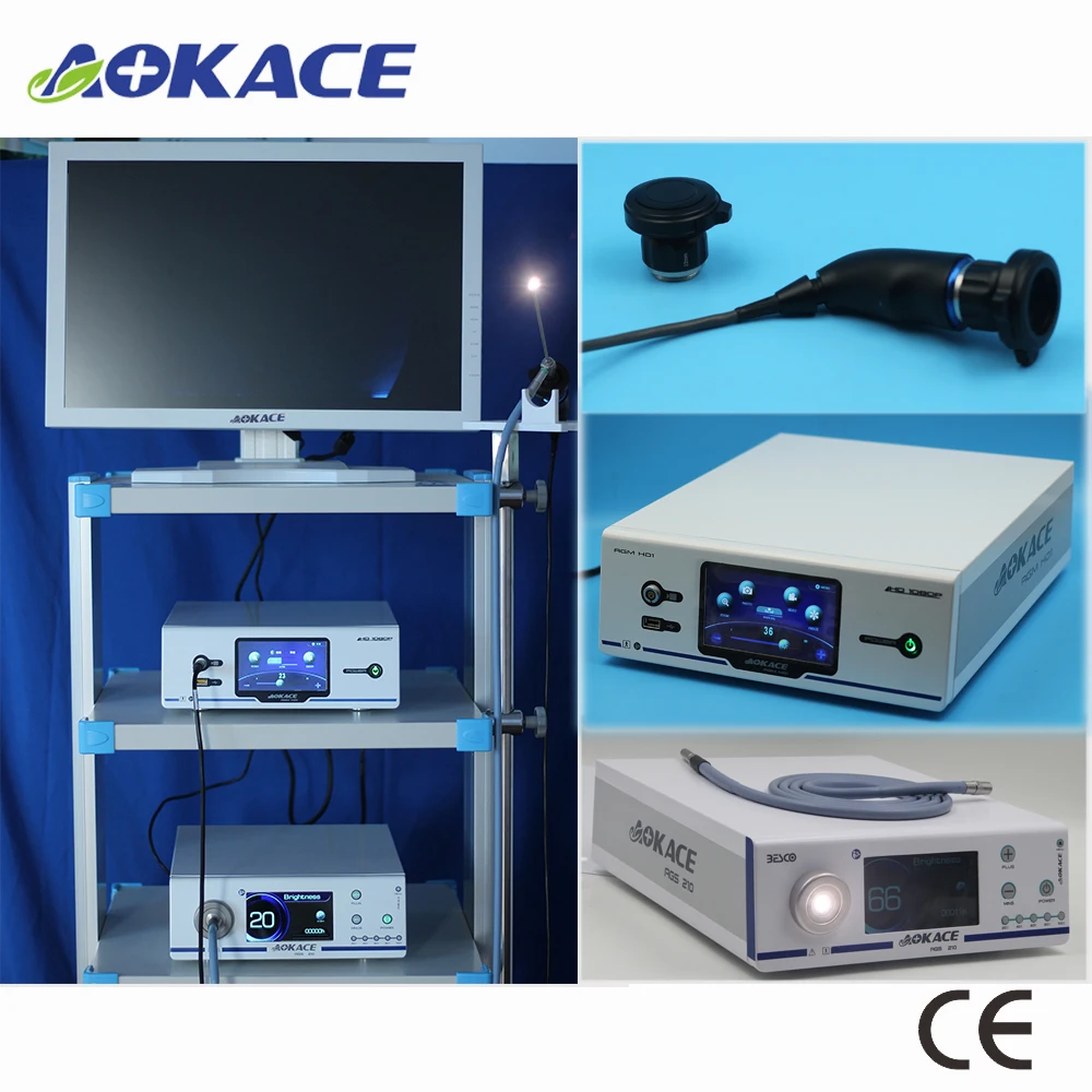 ent endoscope camera price