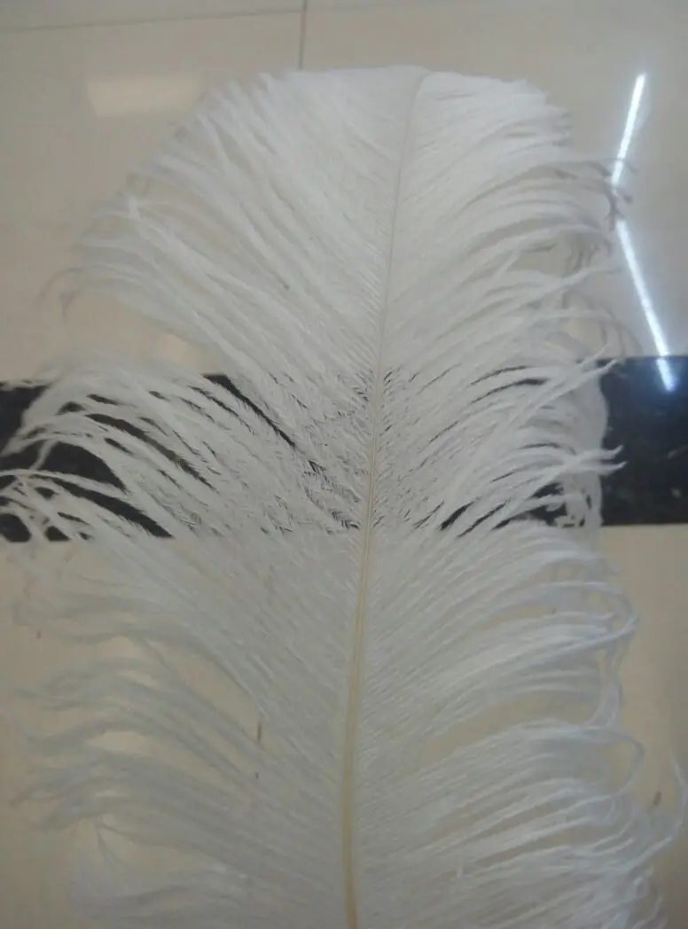 Black Large Wing Plume Ostrich Feather Buy Ostrich Feathers For Sale