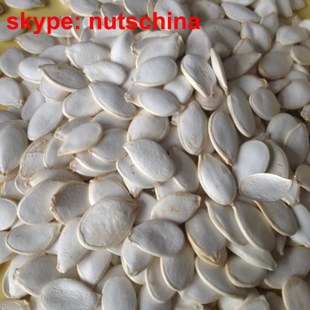 Organic Dark Green Pumpkin Seeds Gws(grown Without Shell) Aaa/aa / A