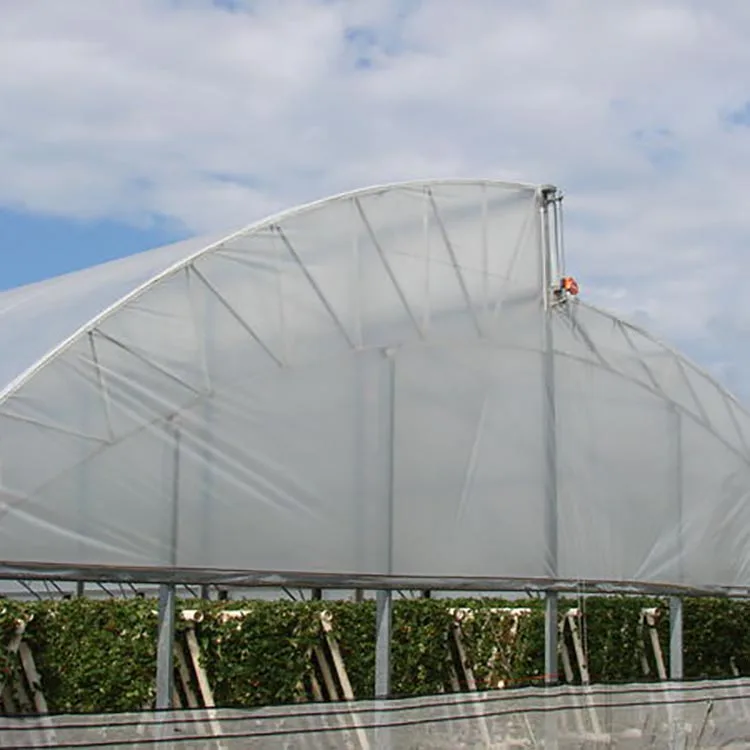 One One Turnkey Multi Span Film Green House Greenhouse Structure