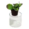 acrylic clear cylinder riser/ acrylic display riser /acrylic riser stand