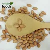 Chinese Long Type Raw Peanuts Kernels With Low Price