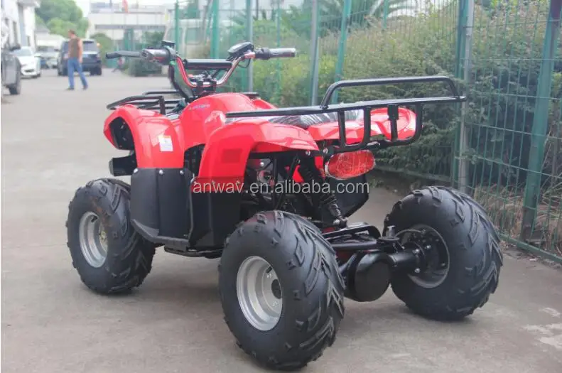 2018 hot sell cheap chinese 800W 48V adult electric atv